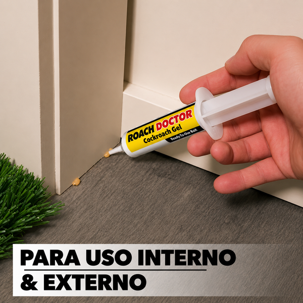 Interior y exterior
